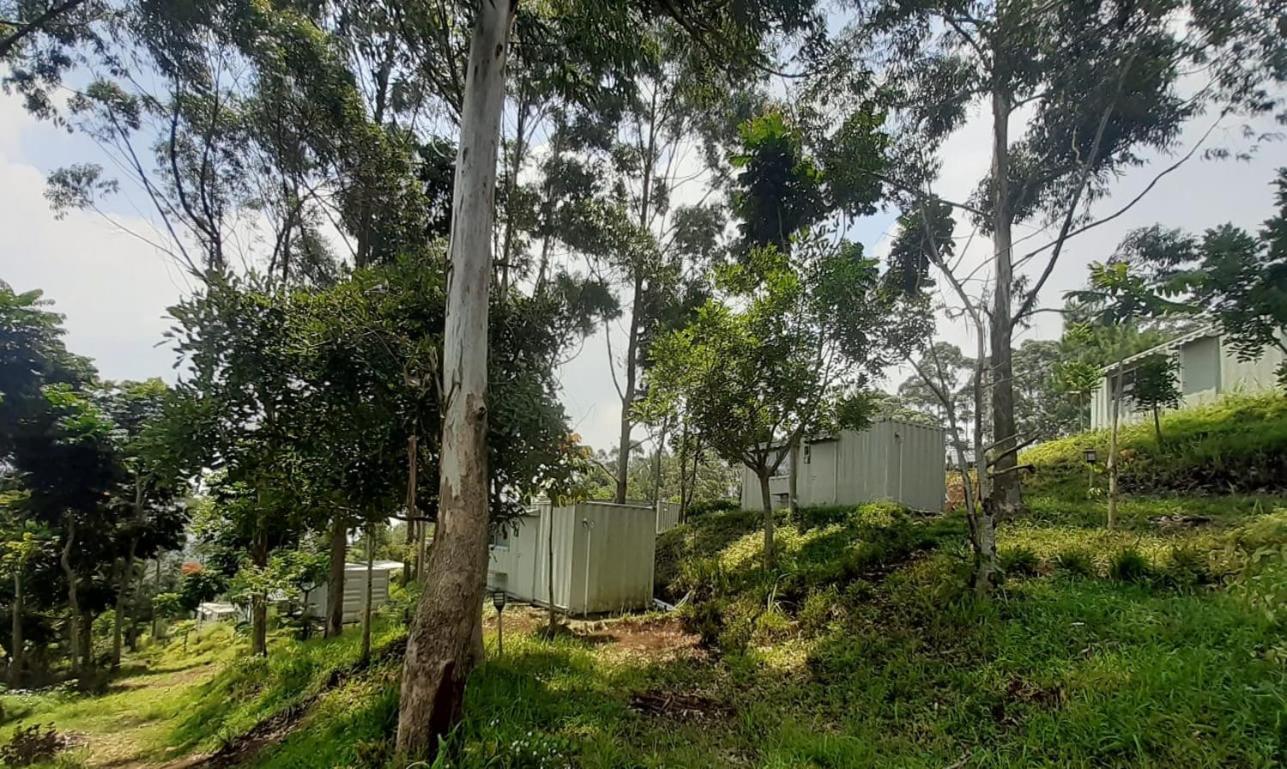 Hotel Bukit Pinus Tegalharendong Екстериор снимка