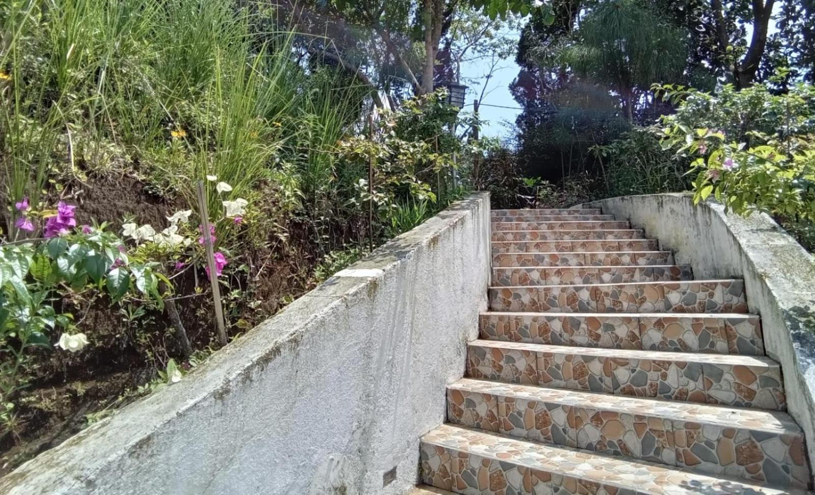 Hotel Bukit Pinus Tegalharendong Екстериор снимка